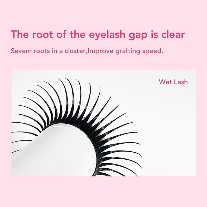 DIYDAY 5D Fairy Eyelash Extens - Eyelash Extension Wet Look บทวิจารณ์และราคา
